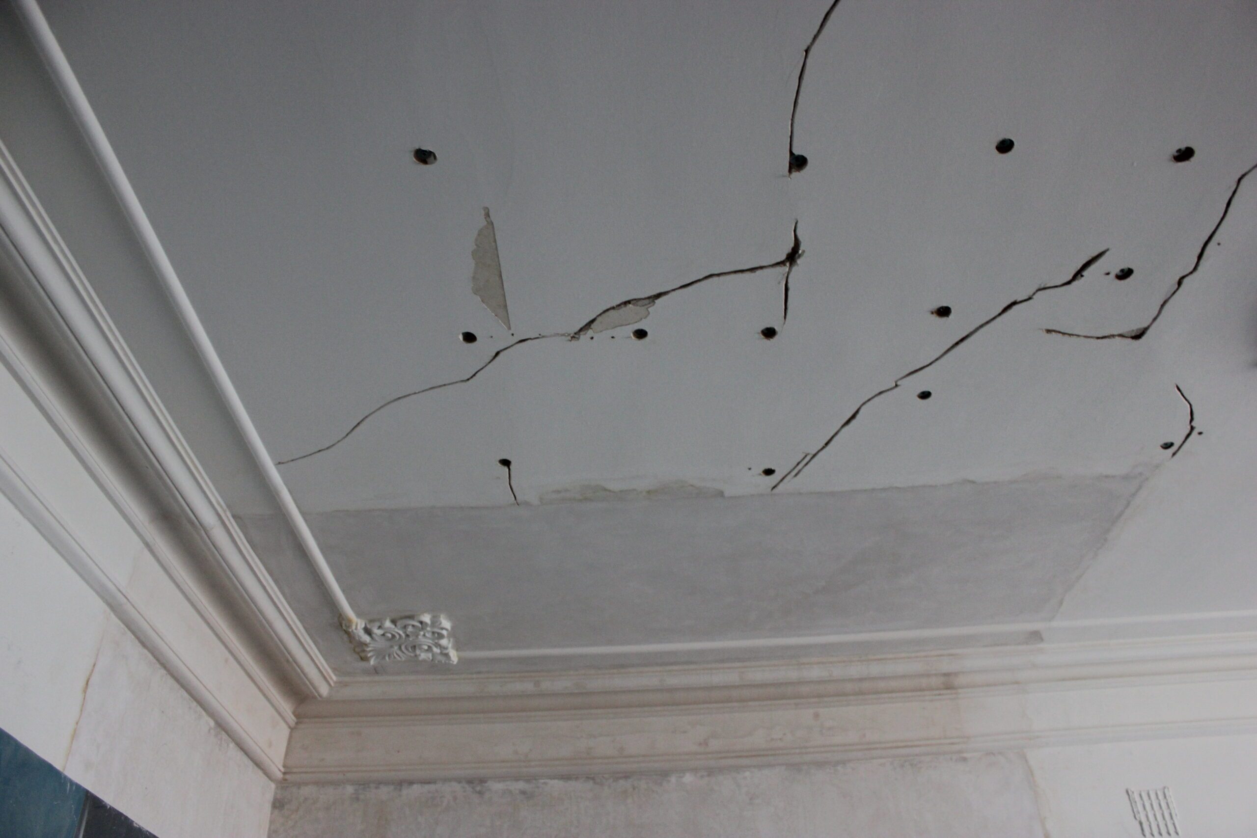 Ceiling Repair