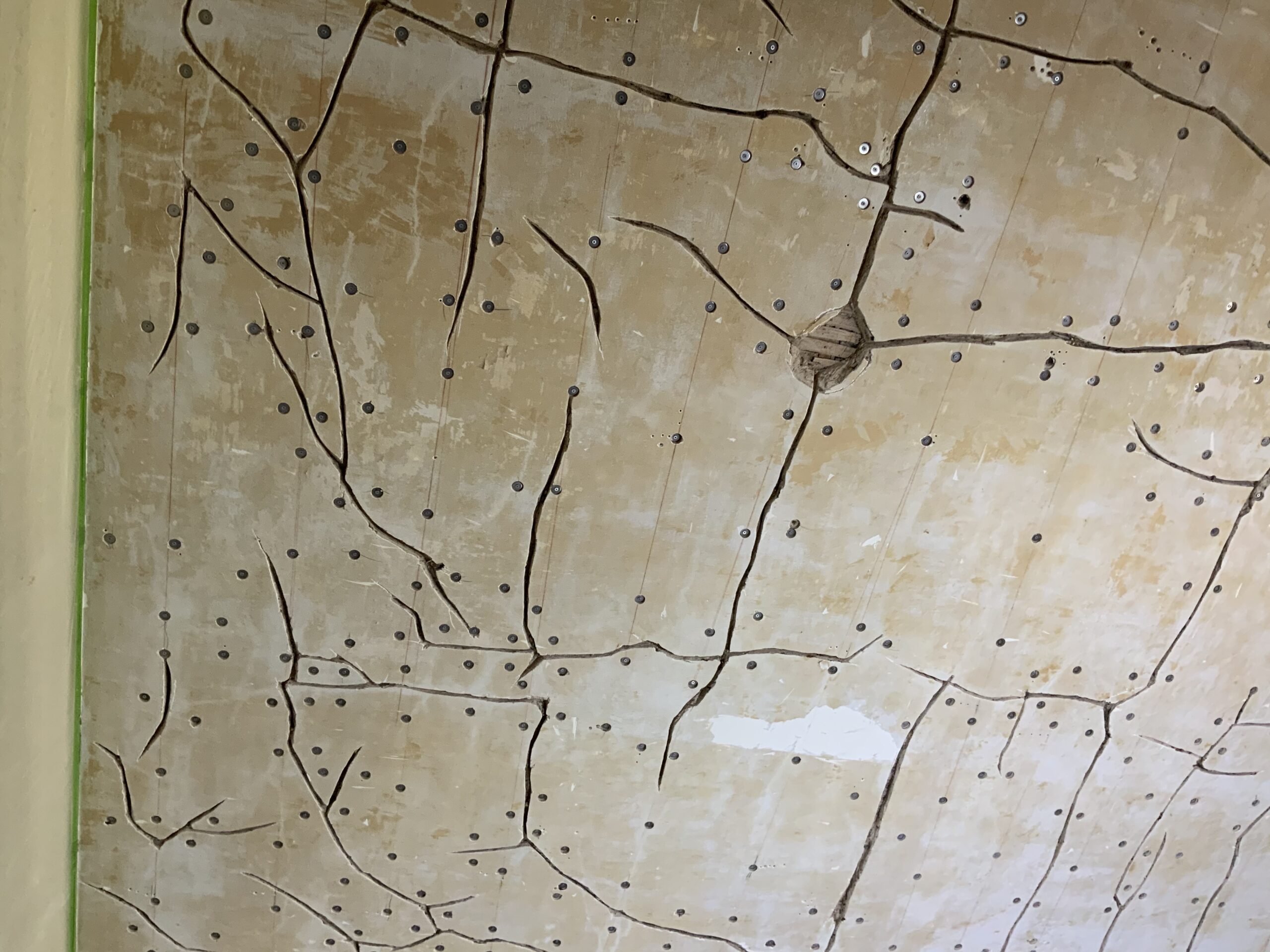 Ceiling Repair