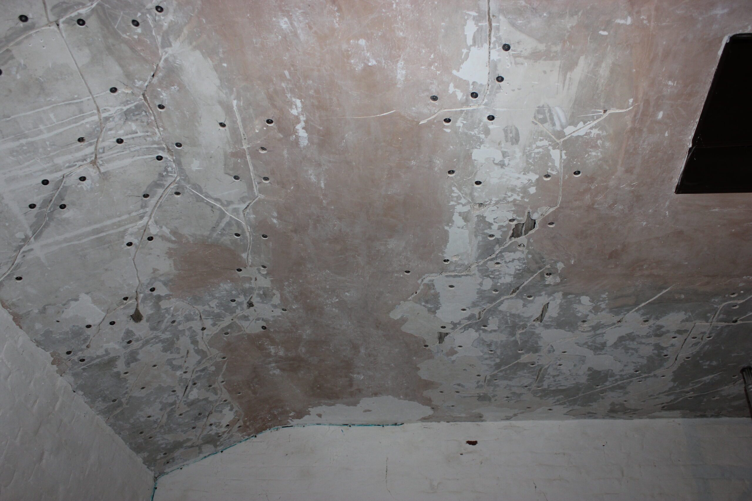 Ceiling Repair