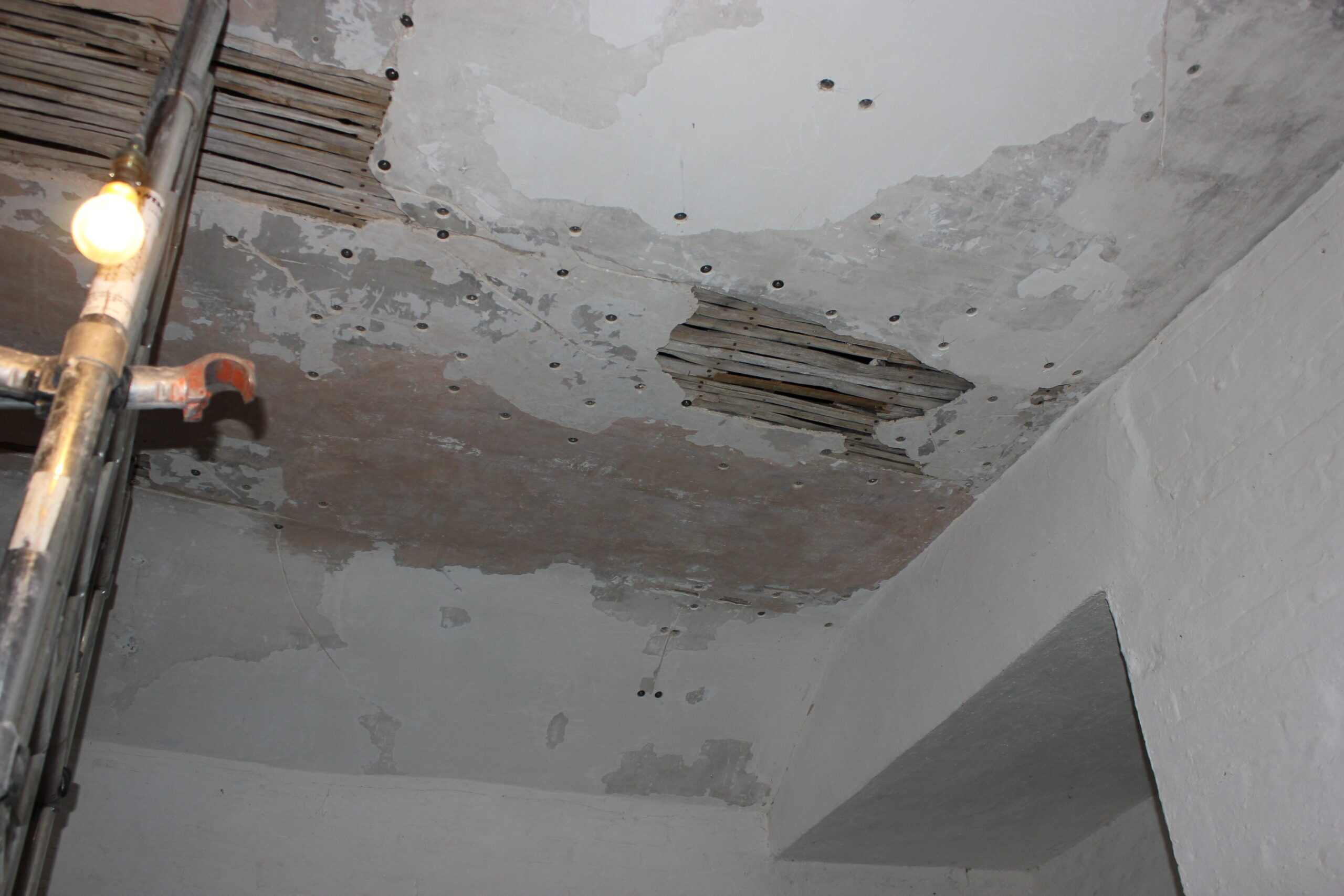 Ceiling Repair